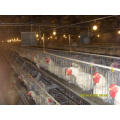 Poultry Cage Chicken Raising Equipment for Sale
